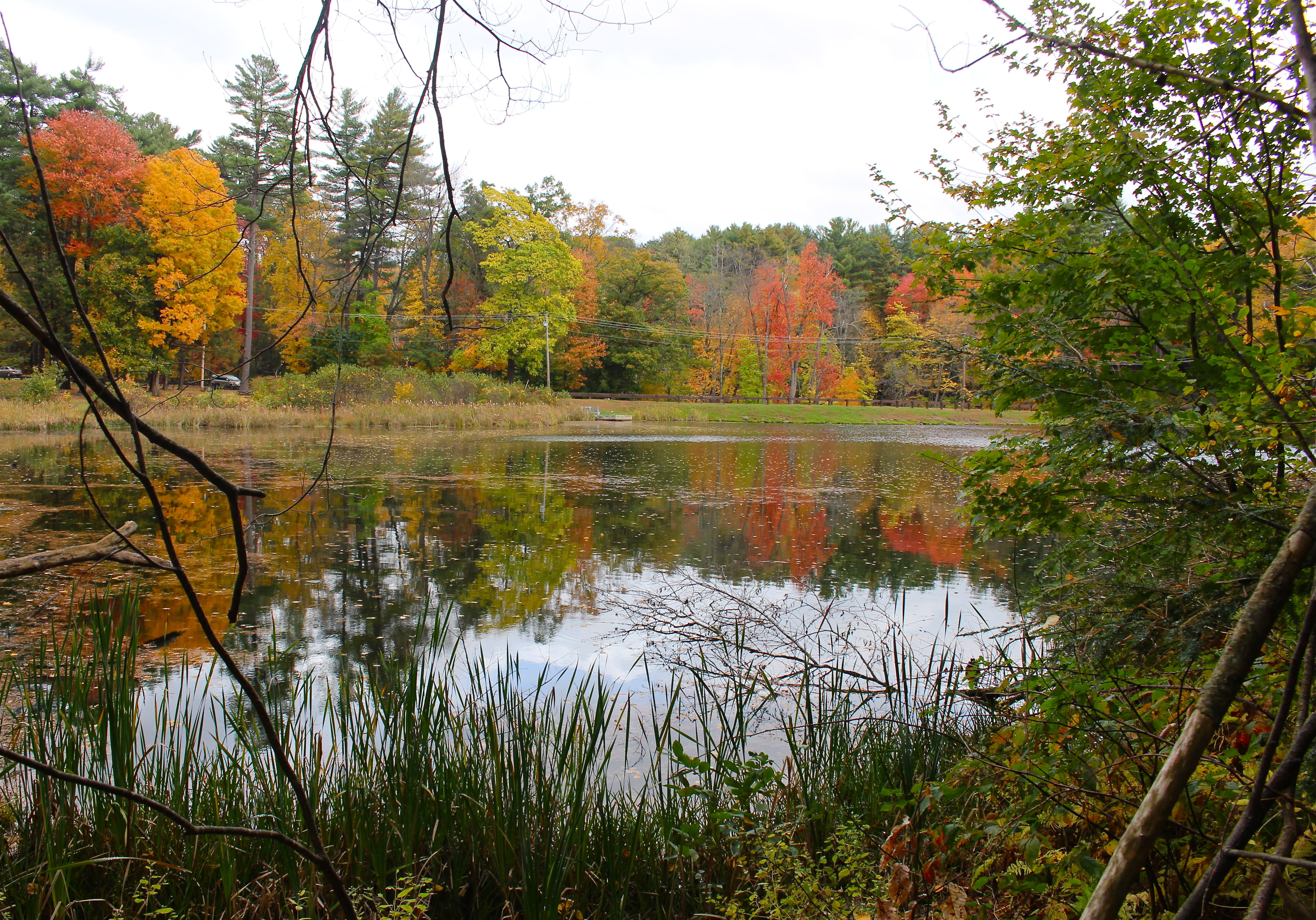 Lake Bray in Autumn, Mount Tom State Reservation, Easthampton, MA