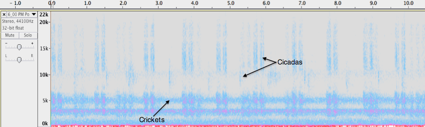 Spectrogram of Lake Bray Dusk recording
