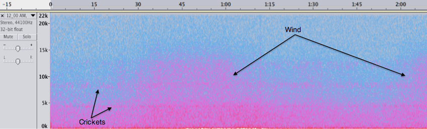 Spectrogram of Rt 141 midnight recording
